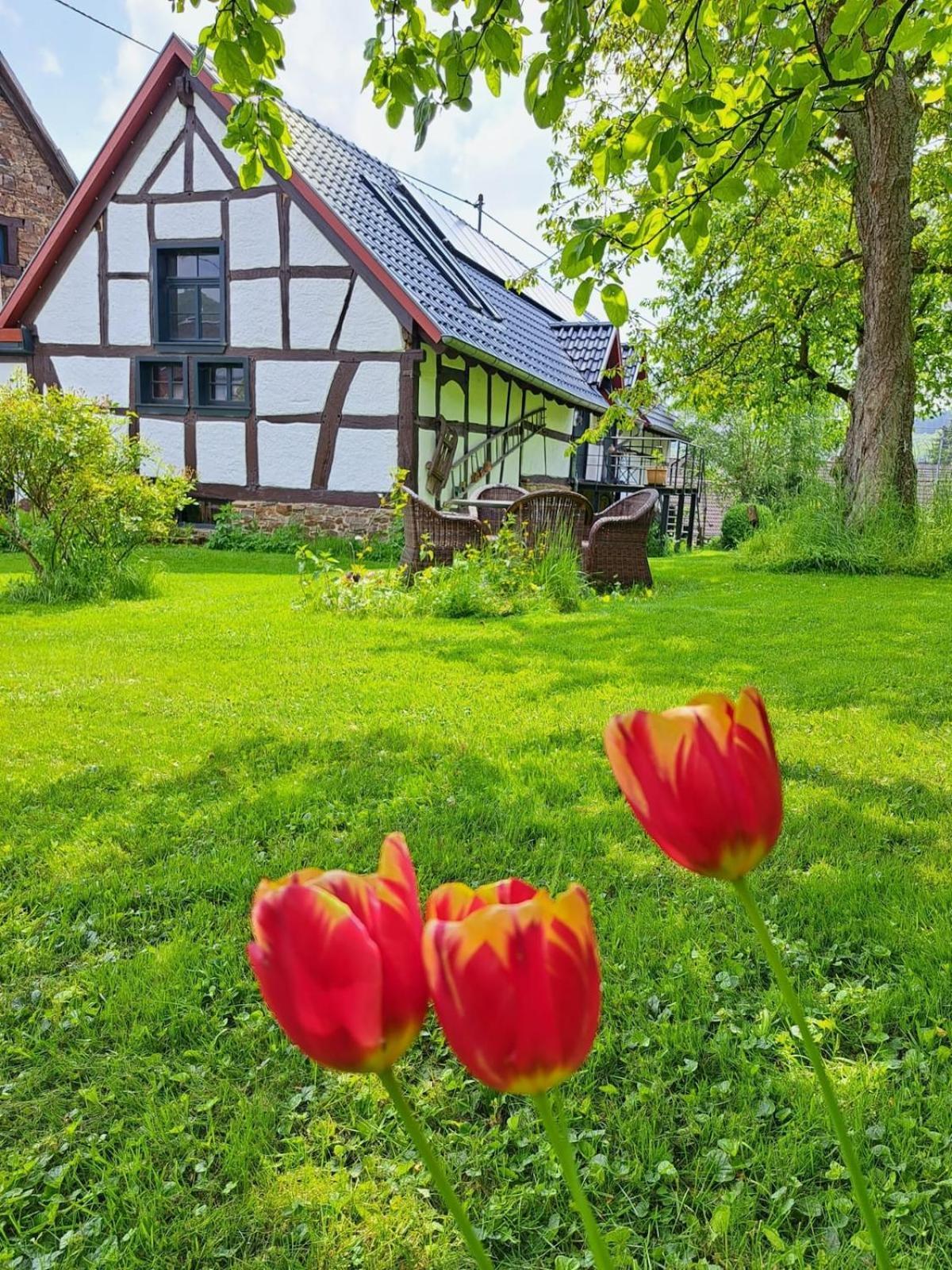 Landhaus Am Aremberg / Eifel Antweiler Екстериор снимка